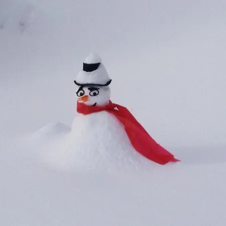 Maier - Daire Fontanella