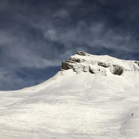 Daire Maier - Fontanella