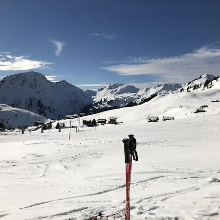 Maier - Fontanella