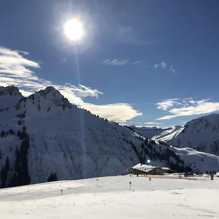 Daire Maier - Fontanella