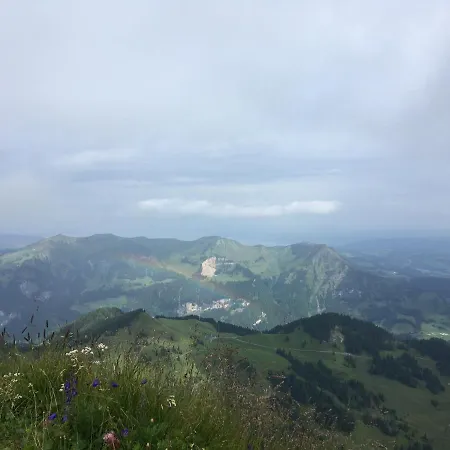 Maier - Fontanella