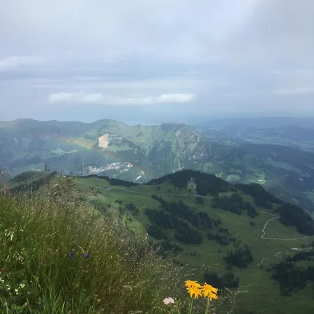 Maier - * Fontanella